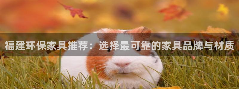 沐鸣客户端登录：福建环保家具推荐：选择最可靠的家具品牌与材质