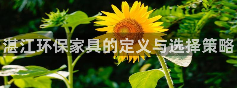 沐鸣代理主管qq：湛江环保家具的定义与选择策略