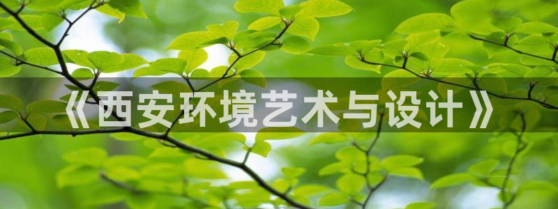 沐鸣平台代理登录网址是多少：《西安环境艺术与设计》